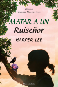 Resumen de Matar a un ruiseñor (Harper Lee)